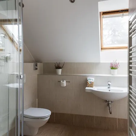 Pension Coloseum Гостевой дом 3*