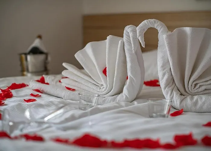 Konukevi Pension Coloseum